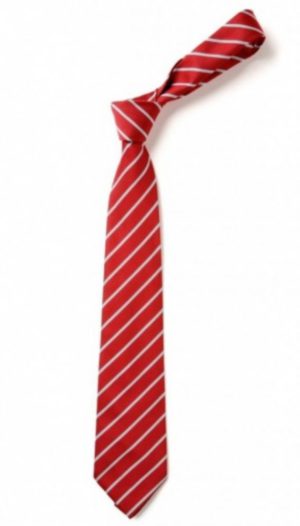 PARKLANDS SCHOOL TIE, Parklands Primary