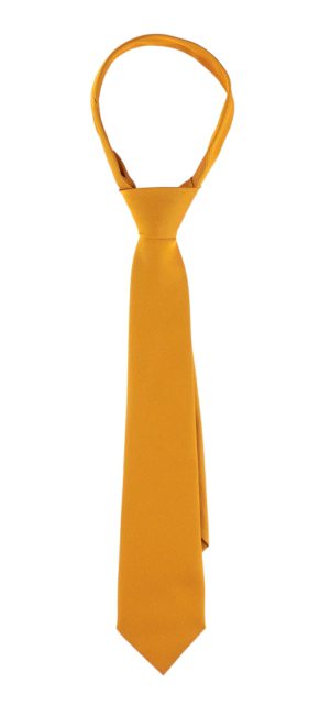 URSULINE PREP TIE, Ursuline Preparatory