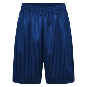 Junior Shadow Stripe Shorts - Navy, Towers, Upminster Infant, Upminster Junior, PE Shorts, Gidea Park, Hacton Primary