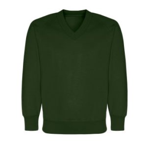 V-NECK SWEATSHIRT - BOTTLE, Jumpers & Cardigans