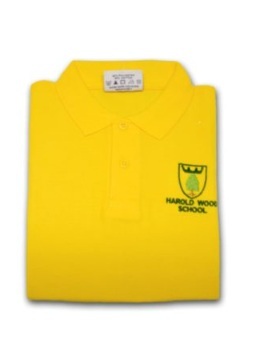 HAROLD WOOD POLO, Harold Wood Primary