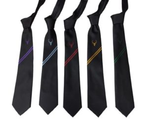 BOWER PARK ACADEMY TIE, Bower Park